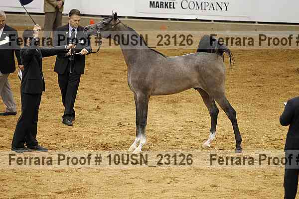 Proof 10usn_23126