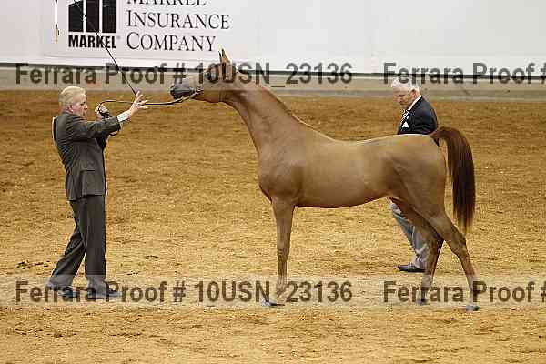 Proof 10usn_23136