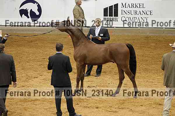 Proof 10usn_23140