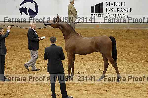 Proof 10usn_23141