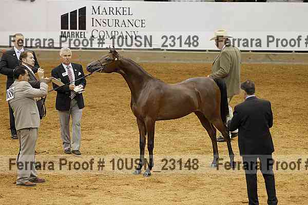 Proof 10usn_23148