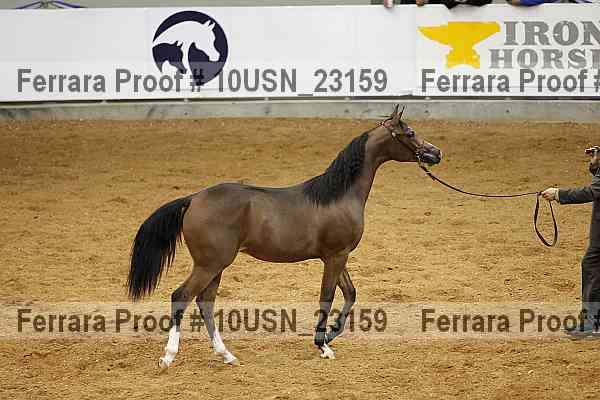 Proof 10usn_23159