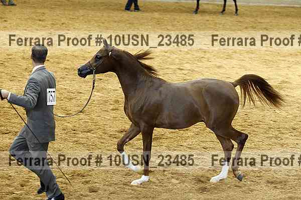 Proof 10usn_23485