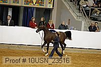 10usn_23516 proof