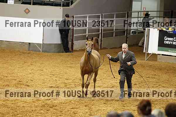 Proof 10usn_23517