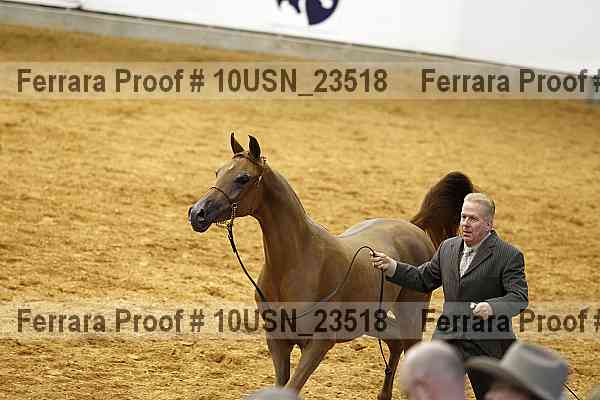 Proof 10usn_23518