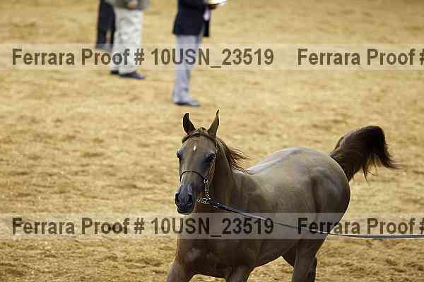 Proof 10usn_23519