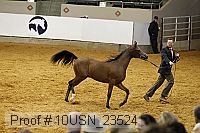 10usn_23524 proof