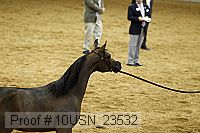 10usn_23532 proof
