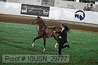 10usn_29777 proof