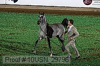 10usn_29796 proof