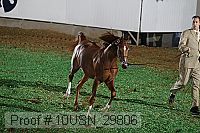 10usn_29806 proof