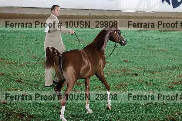 Proof 10usn_29808