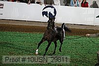 10usn_29811 proof