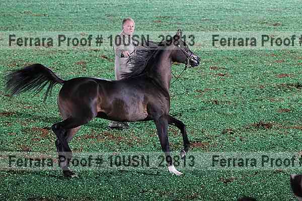 Proof 10usn_29813