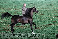 10usn_29813 proof