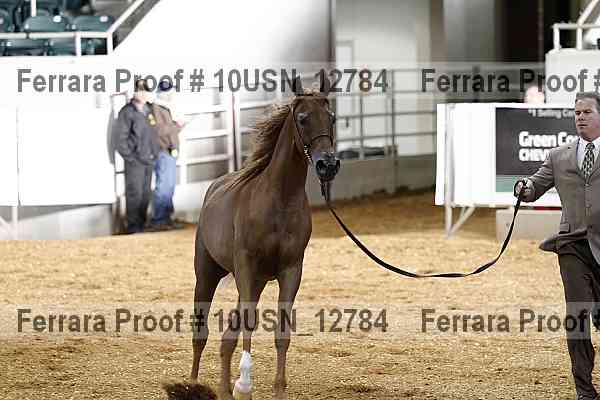Proof 10usn_12784