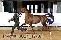 10usn_12787 proof