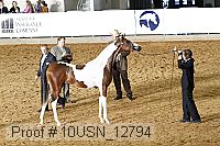 10usn_12794 proof