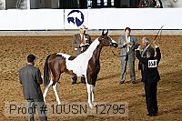 10usn_12795 proof