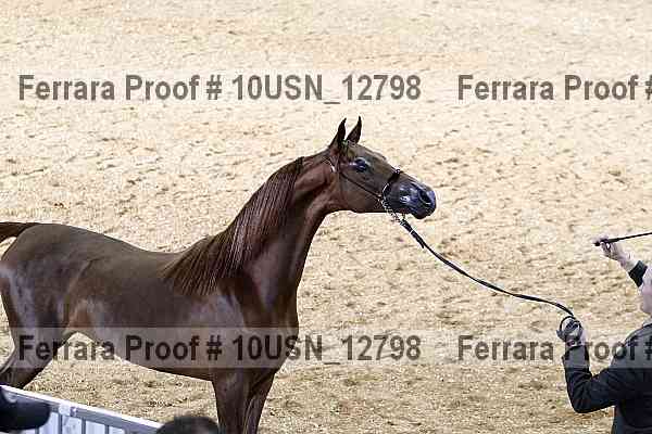 Proof 10usn_12798