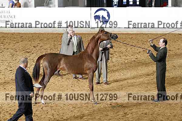 Proof 10usn_12799
