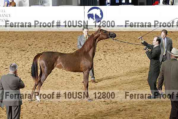 Proof 10usn_12800