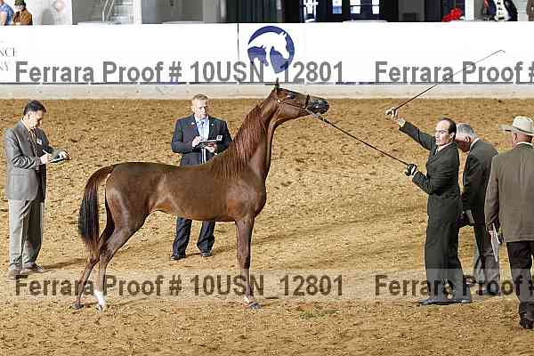 Proof 10usn_12801