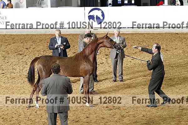 Proof 10usn_12802