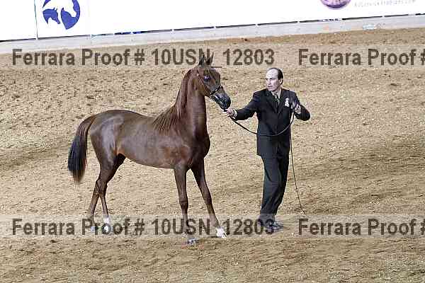Proof 10usn_12803
