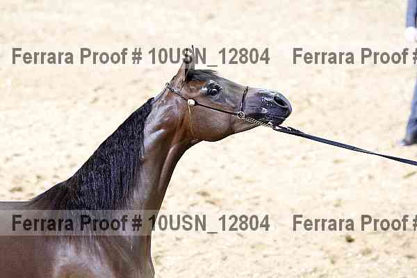 Proof 10usn_12804