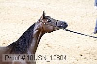 10usn_12804 proof