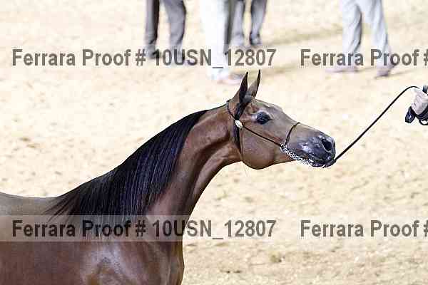 Proof 10usn_12807