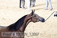 10usn_12807 proof
