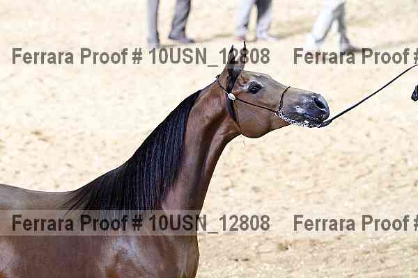Proof 10usn_12808