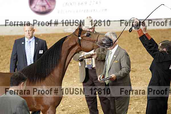 Proof 10usn_12810
