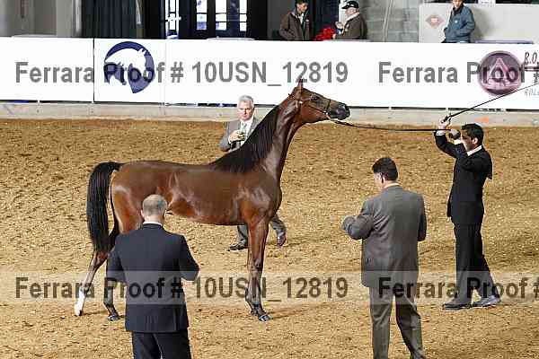 Proof 10usn_12819