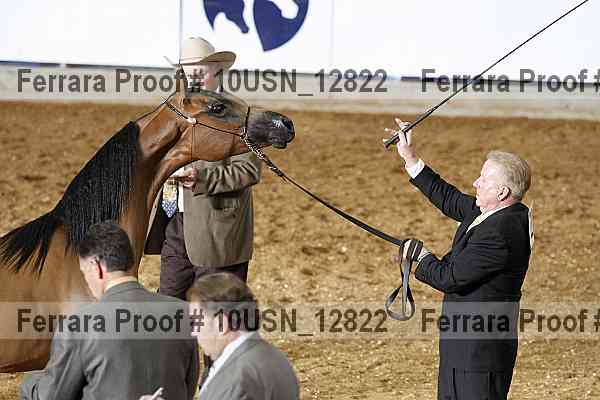 Proof 10usn_12822