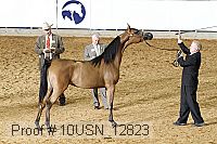 10usn_12823 proof