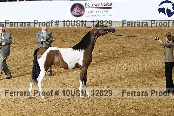 Proof 10usn_12829