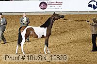 10usn_12829 proof
