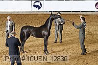 10usn_12830 proof