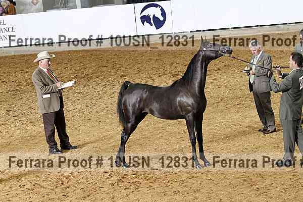 Proof 10usn_12831