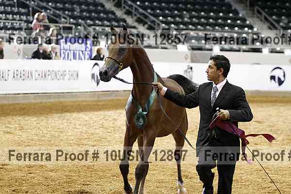 Proof 10usn_12857