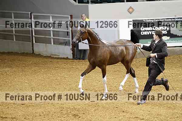 Proof 10usn_12966