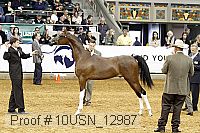 10usn_12987 proof