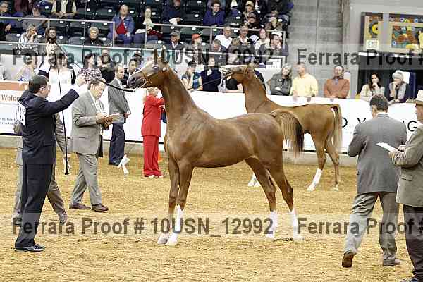 Proof 10usn_12992