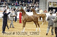 10usn_12992 proof