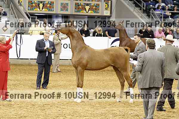 Proof 10usn_12994