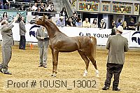 10usn_13002 proof